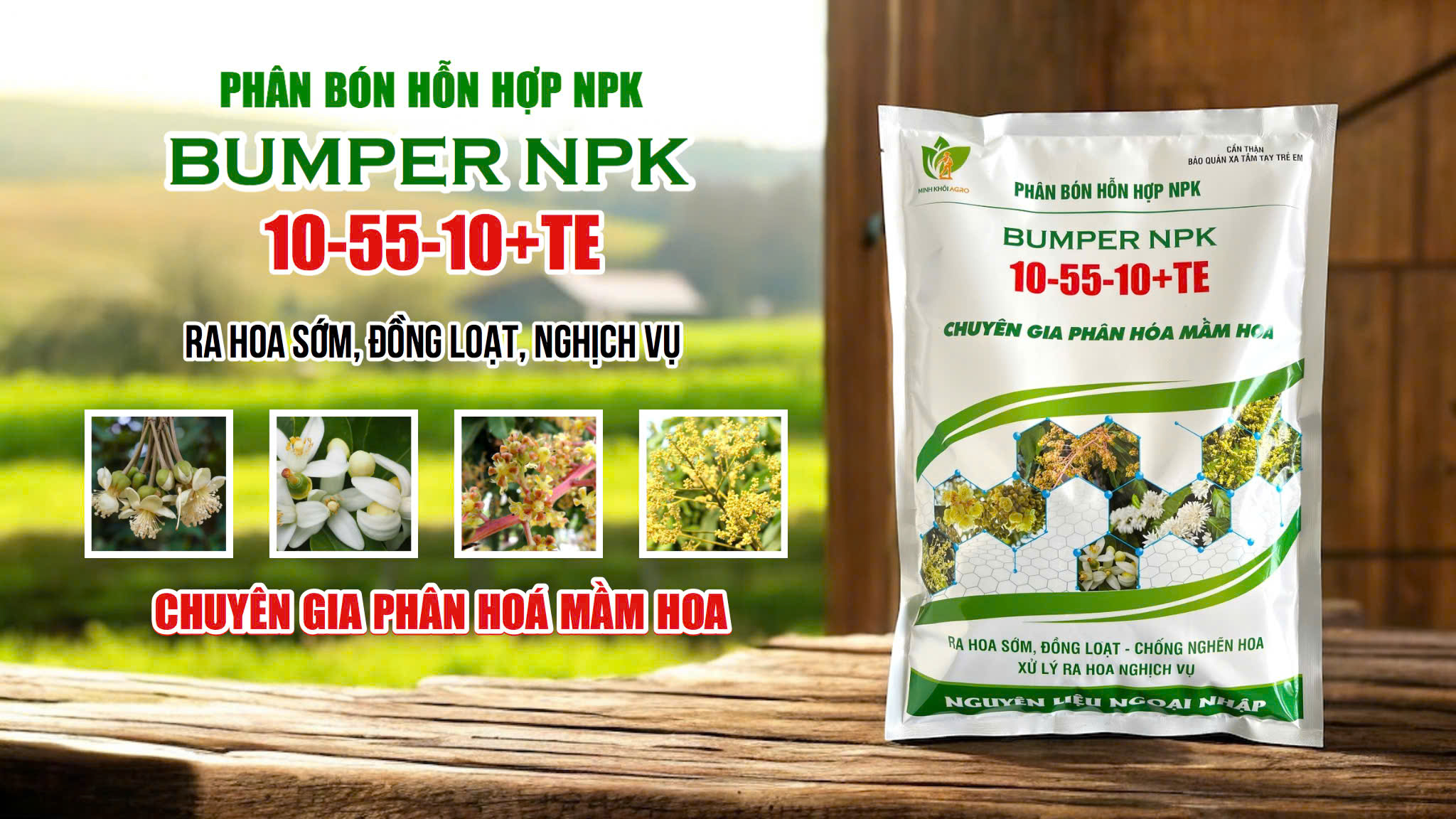 Phân bón NPK Gbumper 10-55-10+TE - Gói 1kg
